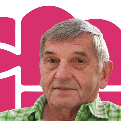 Horst Wischek, Stellvertretender Vorsitzender