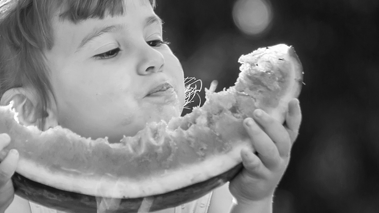 Integrativer Kindertagesstätte Abenteuerland der PLSW GmbH