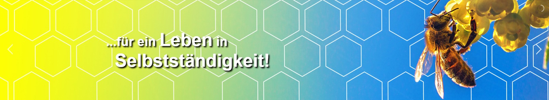 Intensiv betreutes Wohnen der Lebenshilfe Bernburg gGmbH
