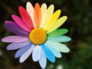 Kompetenzzentrum Autismus Schwaben-Nord