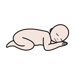 Baby