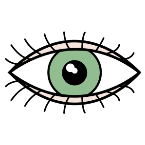 Auge