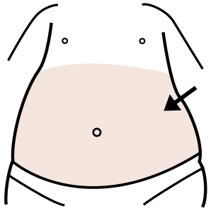 Bauch